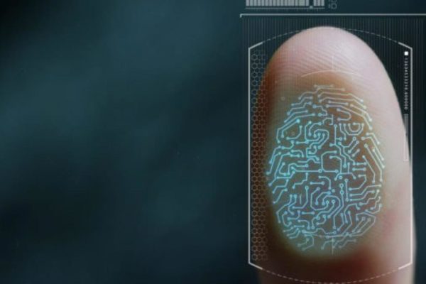 Fingerprint identification graphic.
