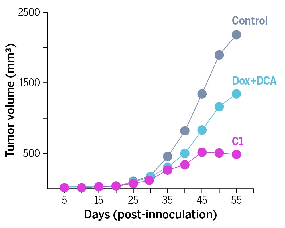 Reduced tumor size