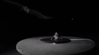 Slow-motion bat attack on the frog model.