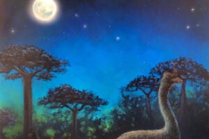 Elephant bird, artist's rendering.