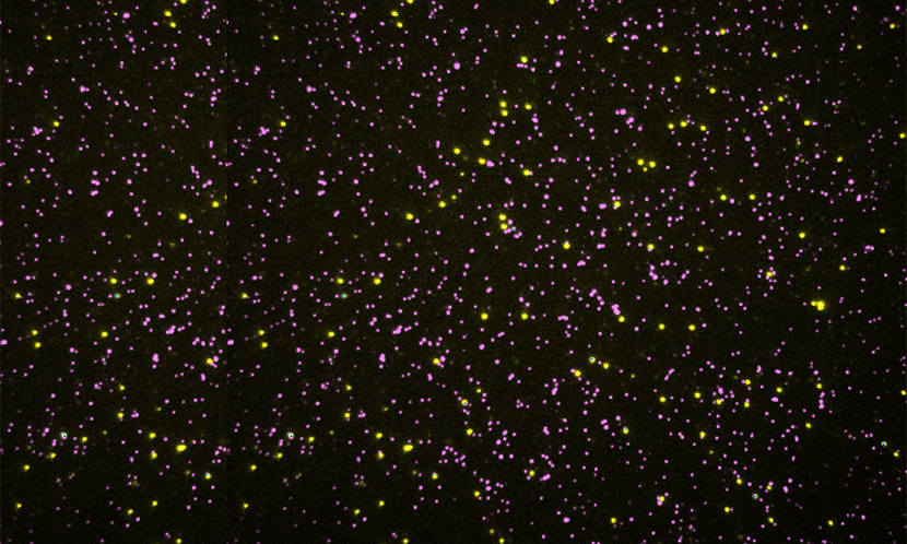 Protein Star Field