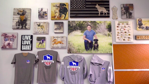 VETTED Patriotic Dog Training