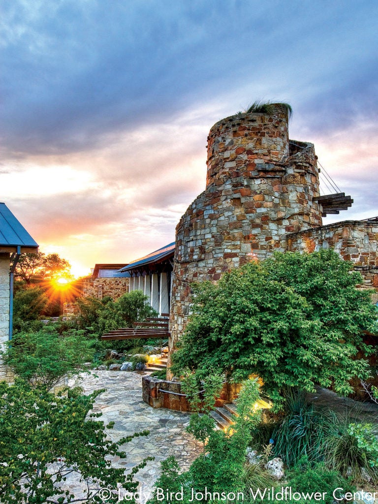Water tower at the Wildflower Center.
