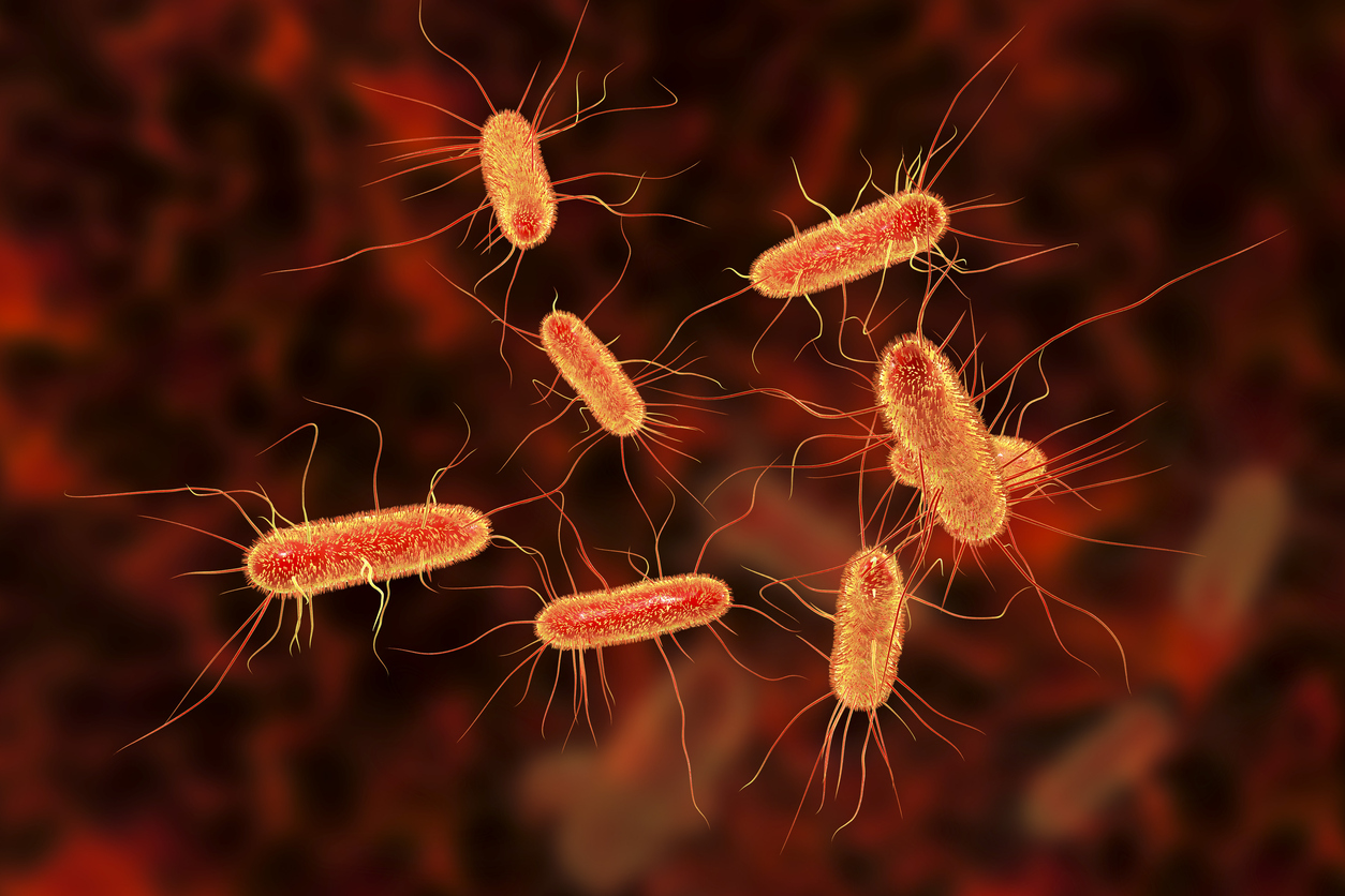 Existing Drug May Help Fight The Lethality Of E Coli Infection UT News