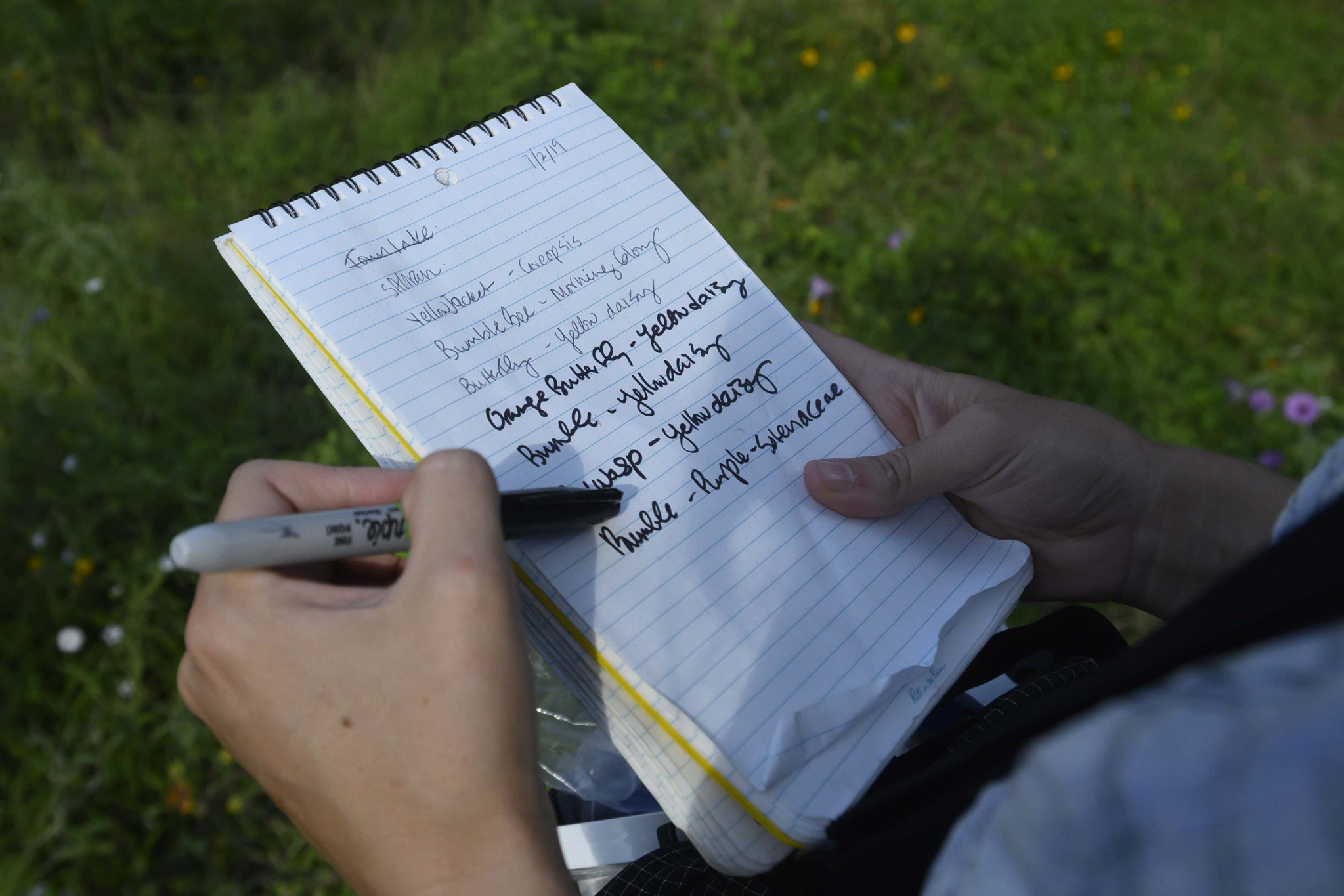 Dr. Susan Cameron Devitt produces a collection vial from her waist pack, harvests the insect, and jots a few words in her notebook.