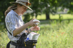 Dr. Susan Cameron Devitt produces a collection vial from her waist pack, harvests the insect.