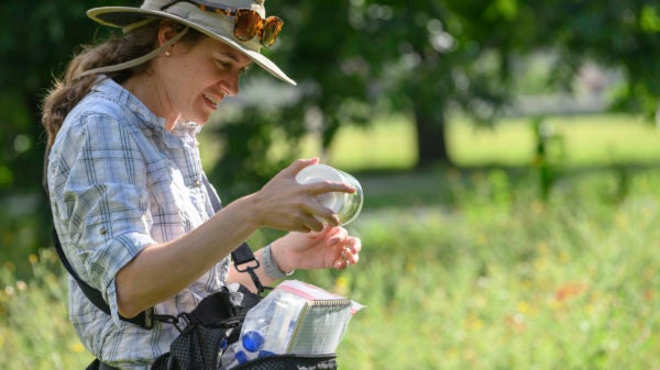 Dr. Susan Cameron Devitt produces a collection vial from her waist pack, harvests the insect.