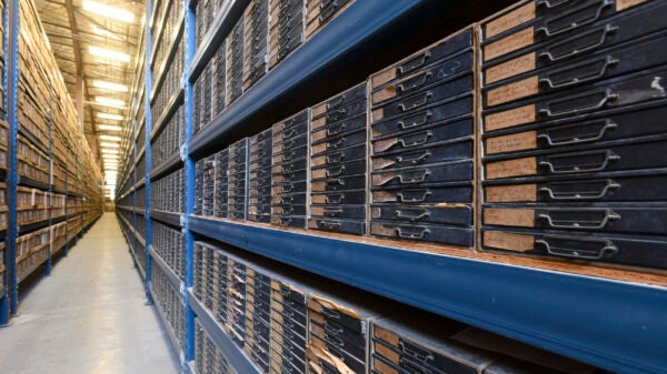 Rows 15 feet high with small drawers containing the cuttings.