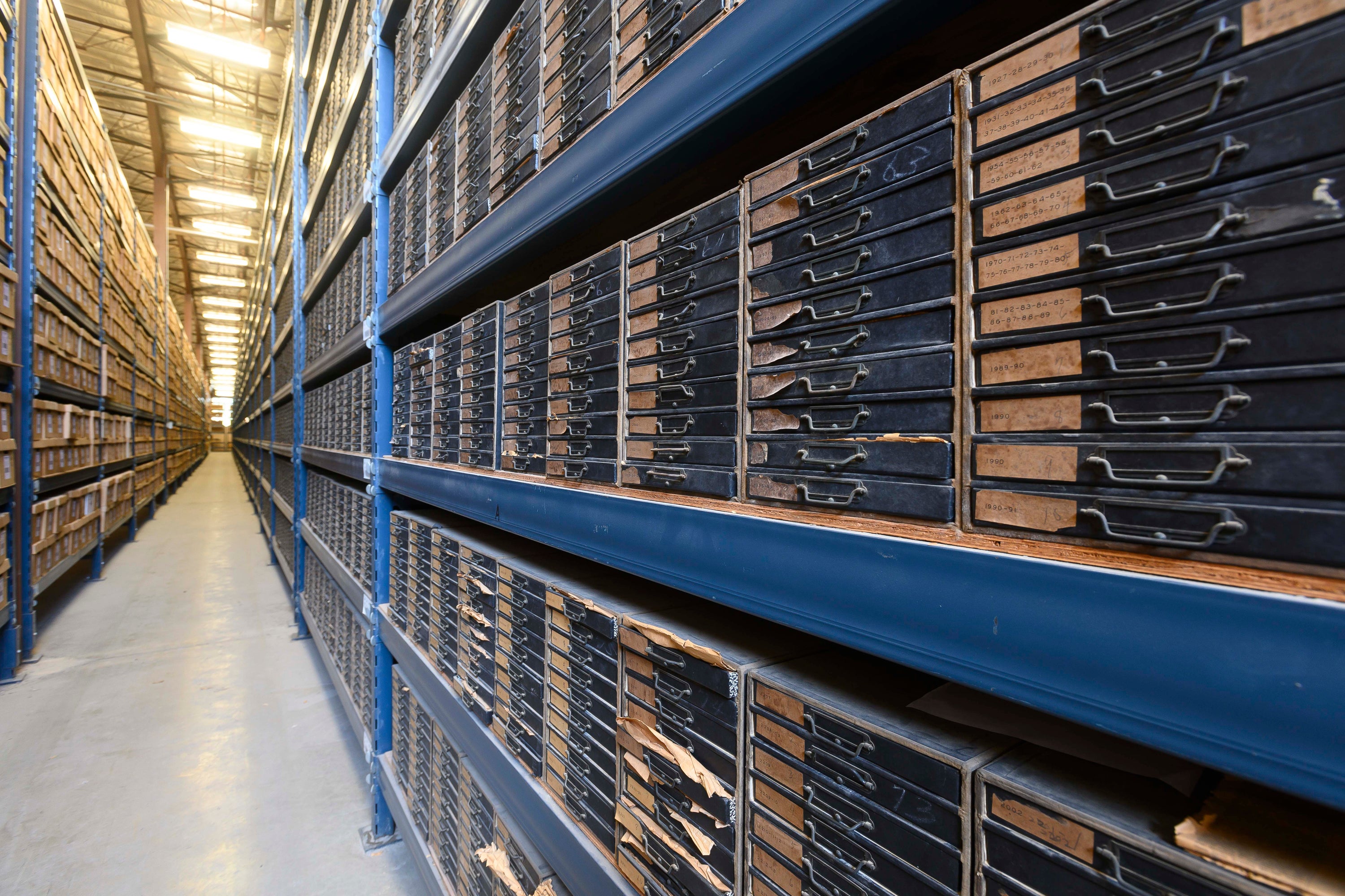 Rows 15 feet high with small drawers containing the cuttings. Rows 15 feet high with small drawers containing the cuttings.