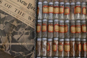 Tiny clear glass vials that show the cuttings, with a newspaper from 1937 with President Franklin D. Roosevelt on the front page.