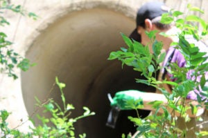 Texas high school students looking for water samples.