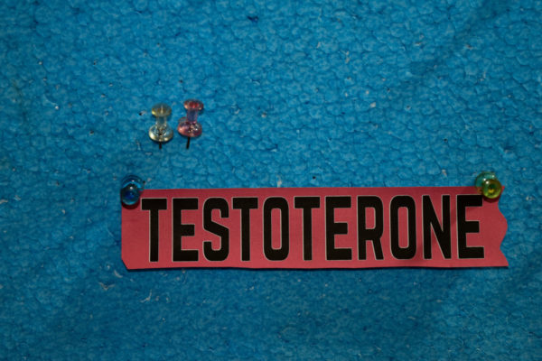 Testoteron text on paper is attached to styrofoam with push pins.