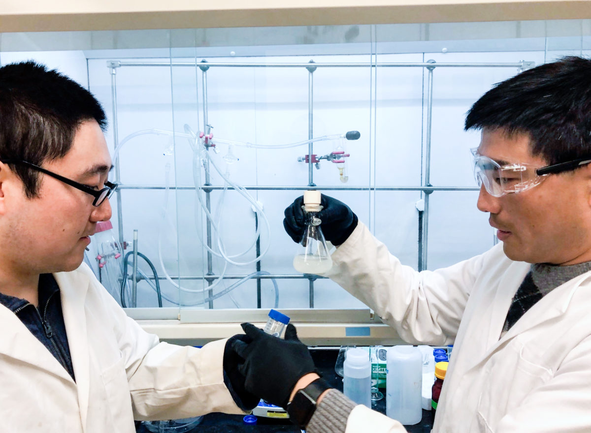 Yu Analyzing Hydrogel
