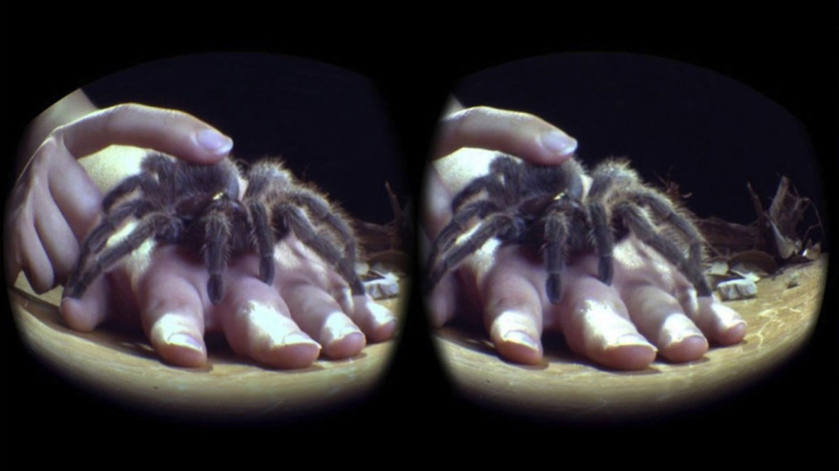 Two lenses show the spider crawling on a person's hand while they pet it with their index finger