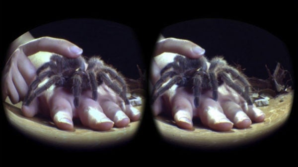 A tarantula crawls up someone's hand as viewed through the lens of a virtual reality device. Image by The University of Texas at Austin