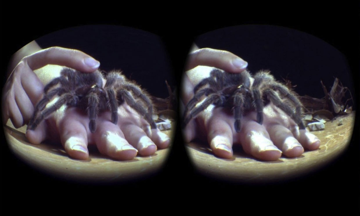 A tarantula crawls up someone's hand as viewed through the lens of a virtual reality device. Image by The University of Texas at Austin
