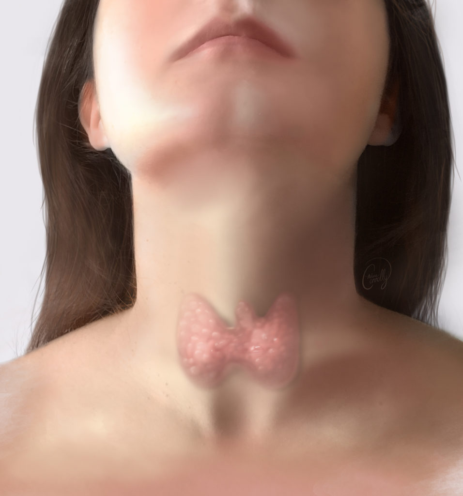 Thyroid Illustration