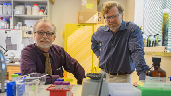Professors Edward Marcotte and Eric Anslyn