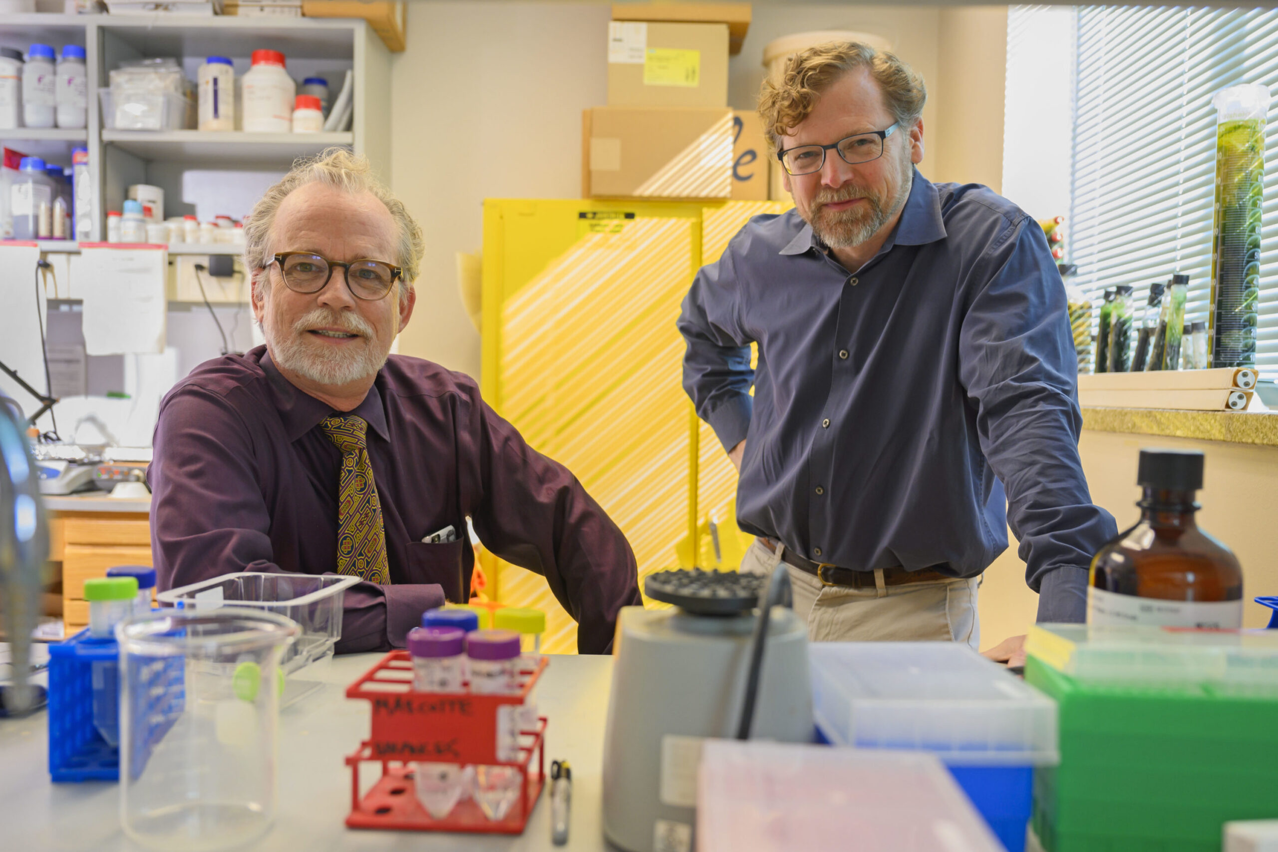 Professors Edward Marcotte and Eric Anslyn