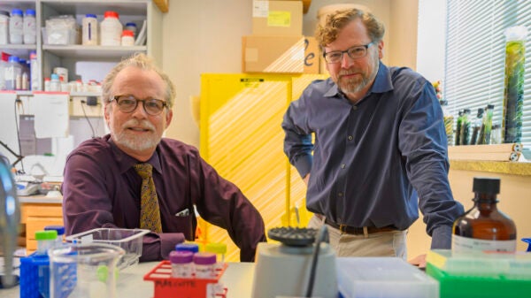 Professors Edward Marcotte and Eric Anslyn