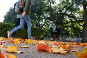 Students walk through burnt orange leaves on the pavement on the Main Mall.