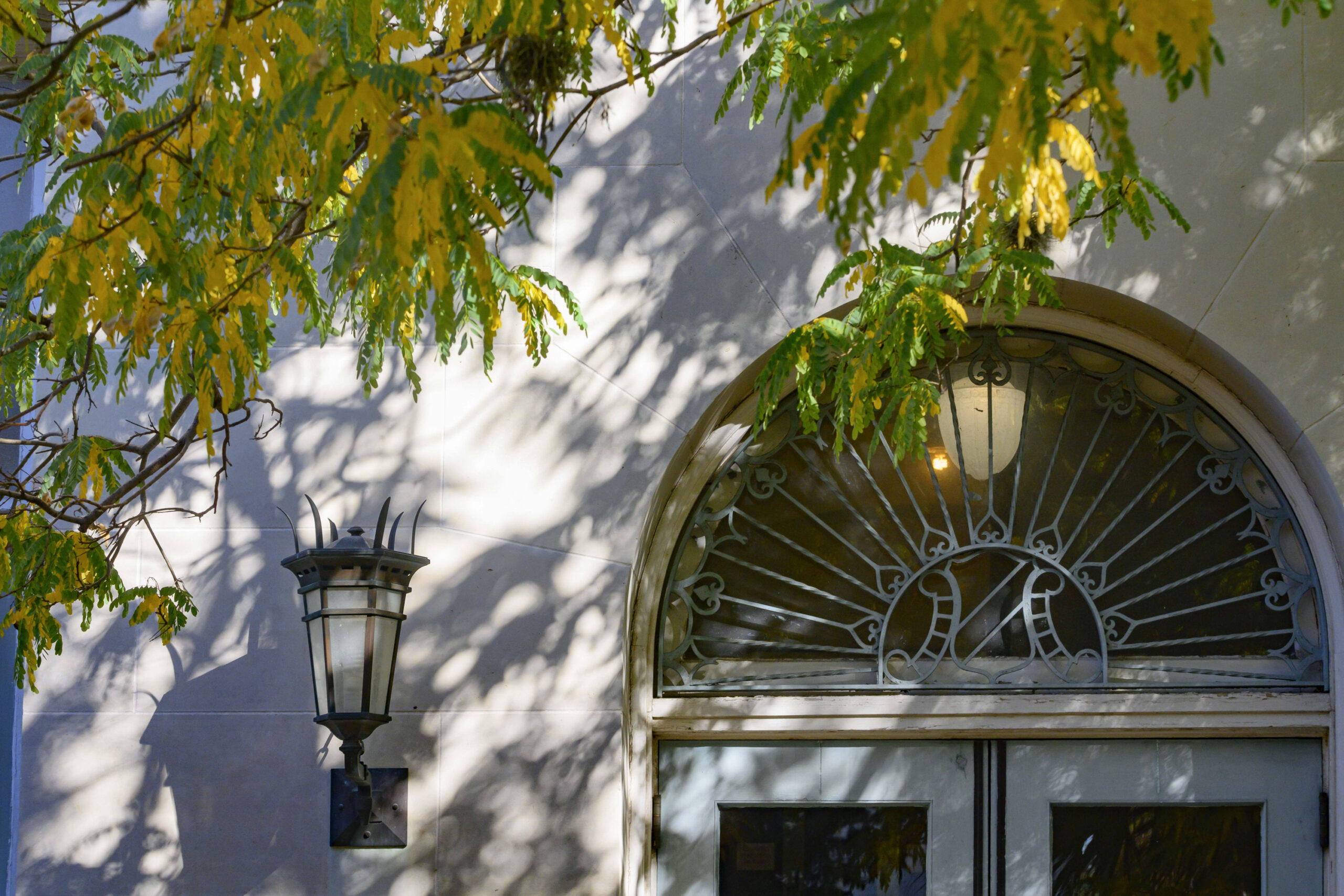 Yellow leaves overhand the arched doorway with turquoise grillwork and a lantern on the biology building.