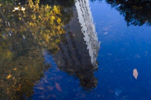 Reflection of the Tower and a golden tree in the turtle pond.