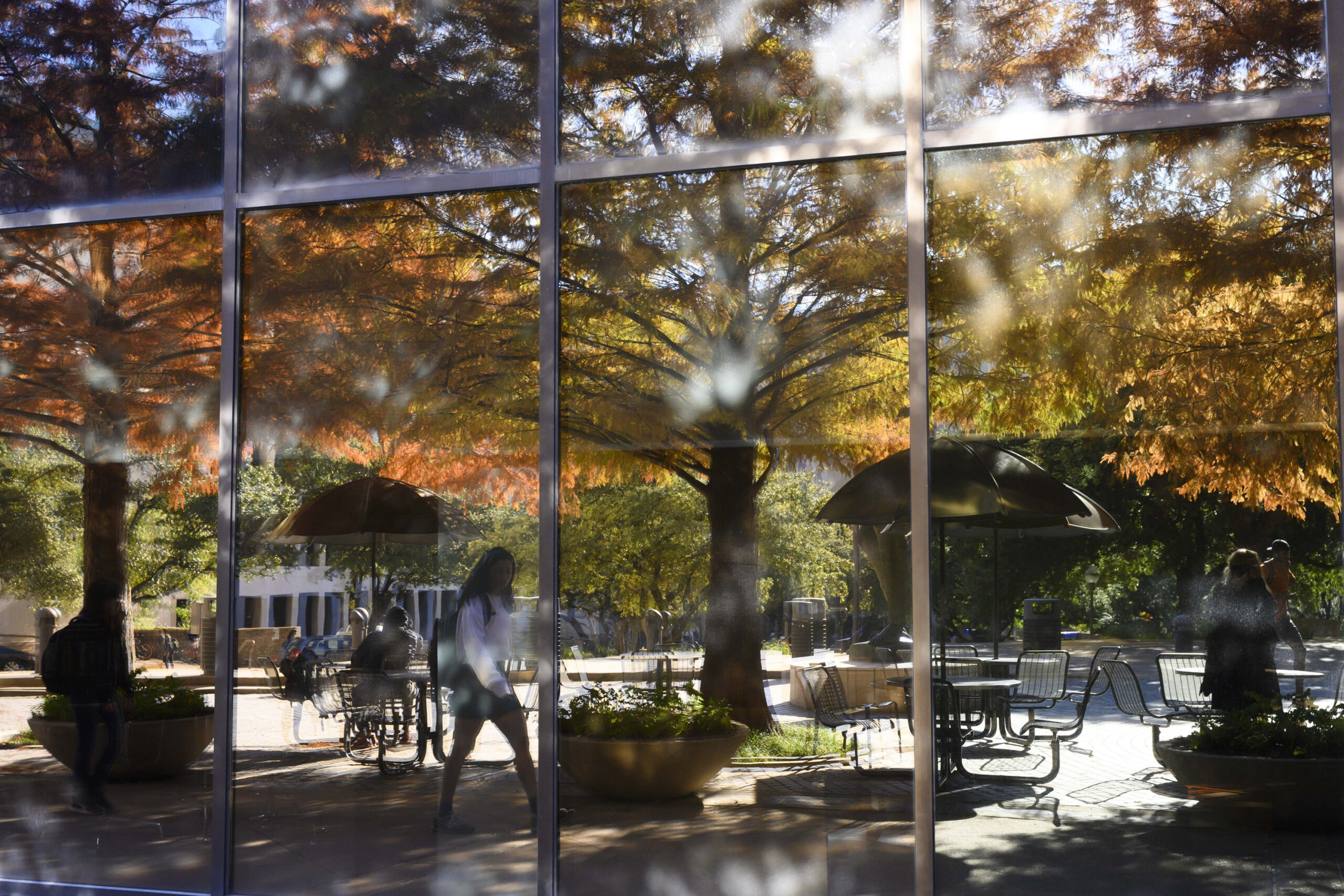 Reflections of the rust-colored cypress trees in the windows of the McCombs School with a student walking.