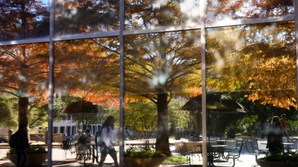 Reflections of the rust-colored cypress trees in the windows of the McCombs School with a student walking.