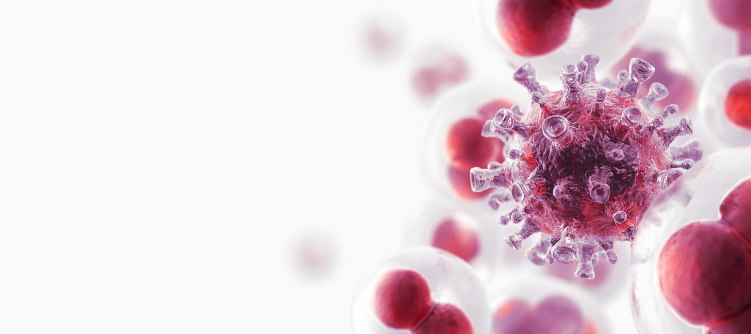 Cancer cells.
