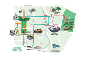 A stylized map of the University of Texas at Austin campus showing possible walking routs.