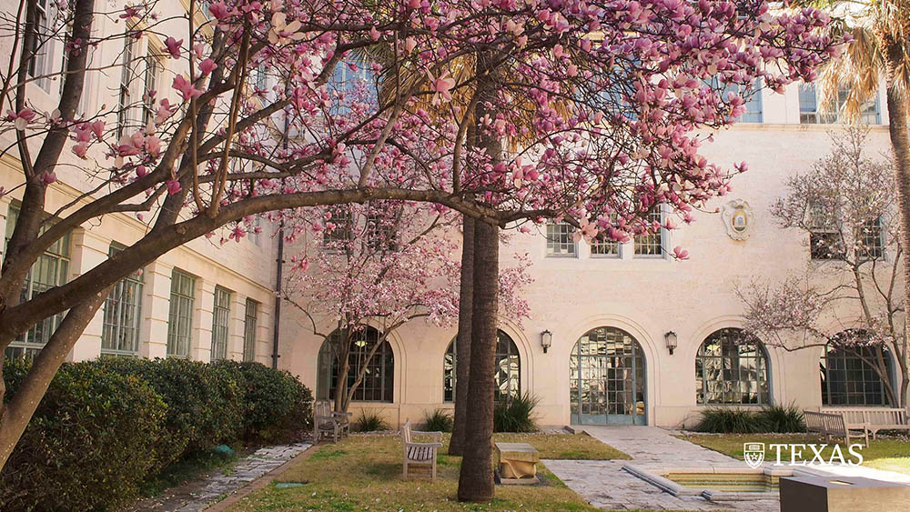 UT Austin Zoom Backgrounds
