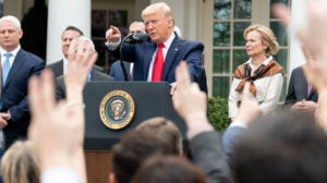 49658694643_ae173e6461_o