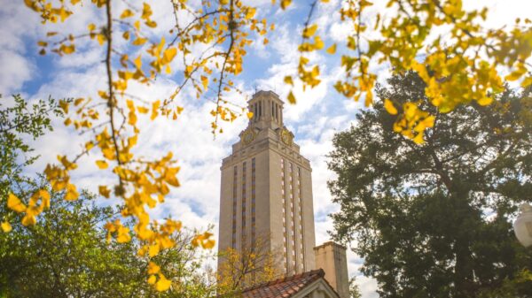 tower, fall, trees, campus, yellow leaves
