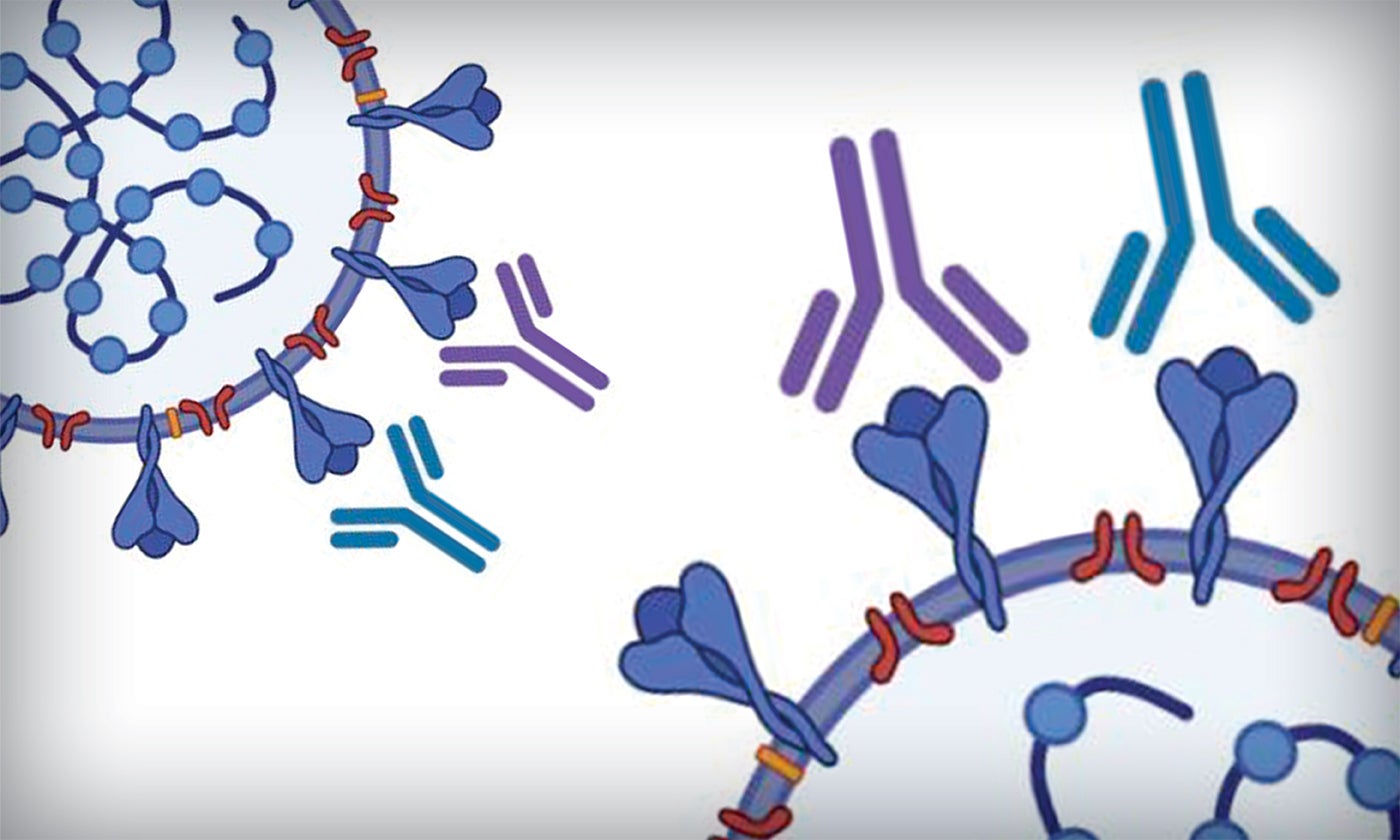 Antibody Test Developed for COVID19 That is Sensitive, Specific and