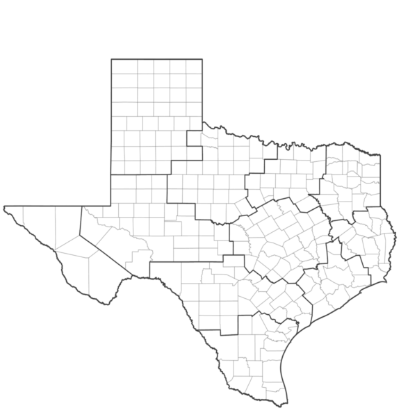 Regional View of Texas[4] copy