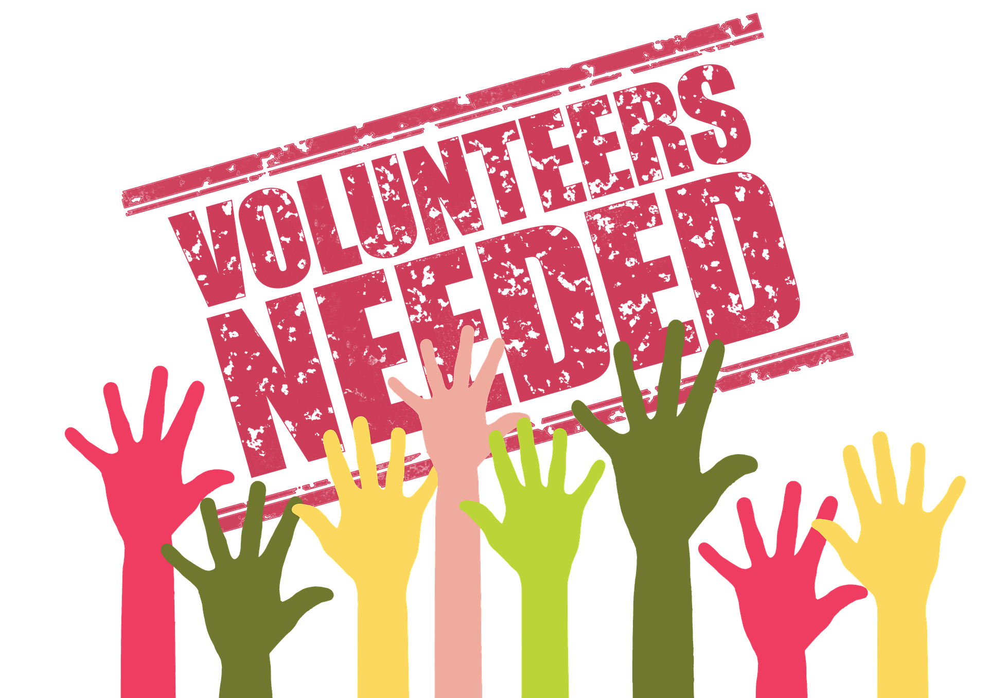 Volunteers Opportunities