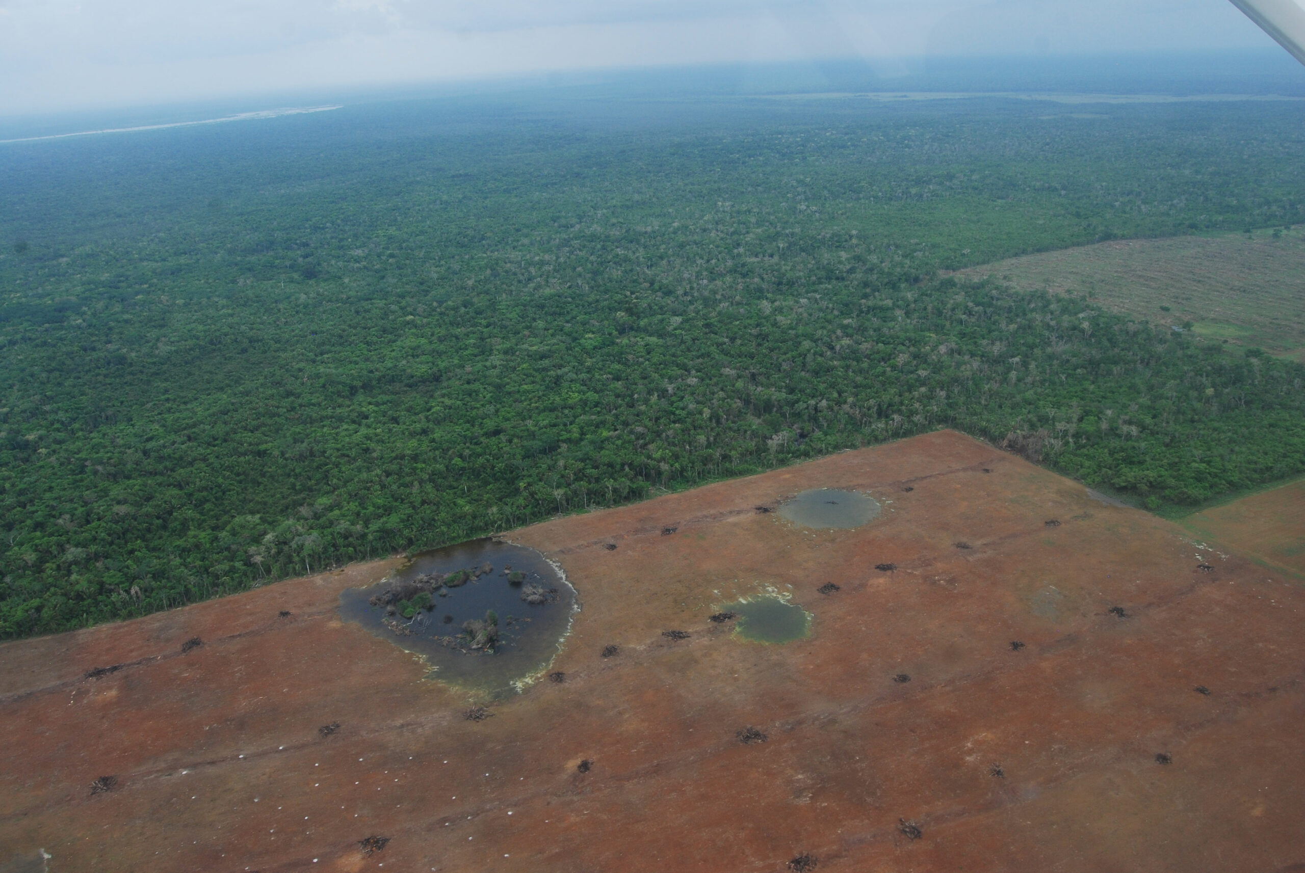Aerial shot showing deforestation in Belize. Photo by Tim Beach, UT Austin (2012).