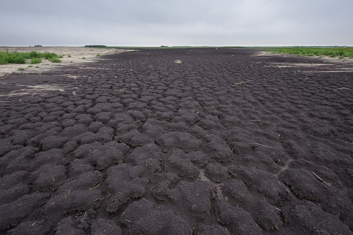 Record-Breaking Texas Drought More Severe Than Previously Thought - UT News