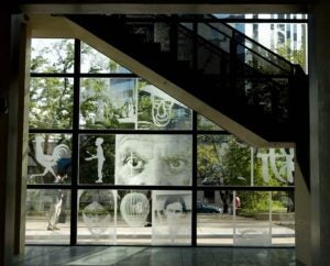 Windows of the Harry Ransom Center