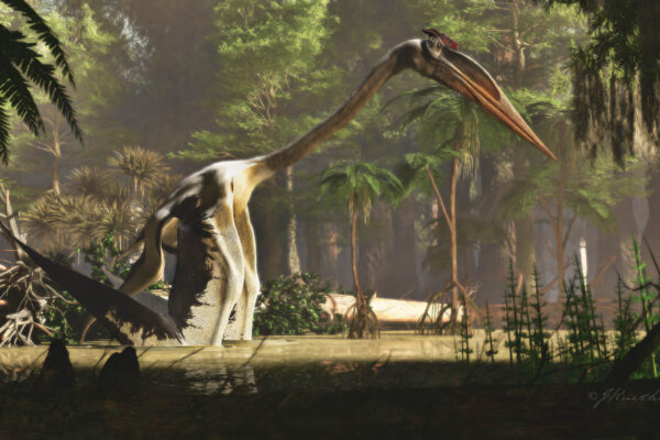 The giant Quetzalcoatlus stands on the ground, propping itself up with its wings