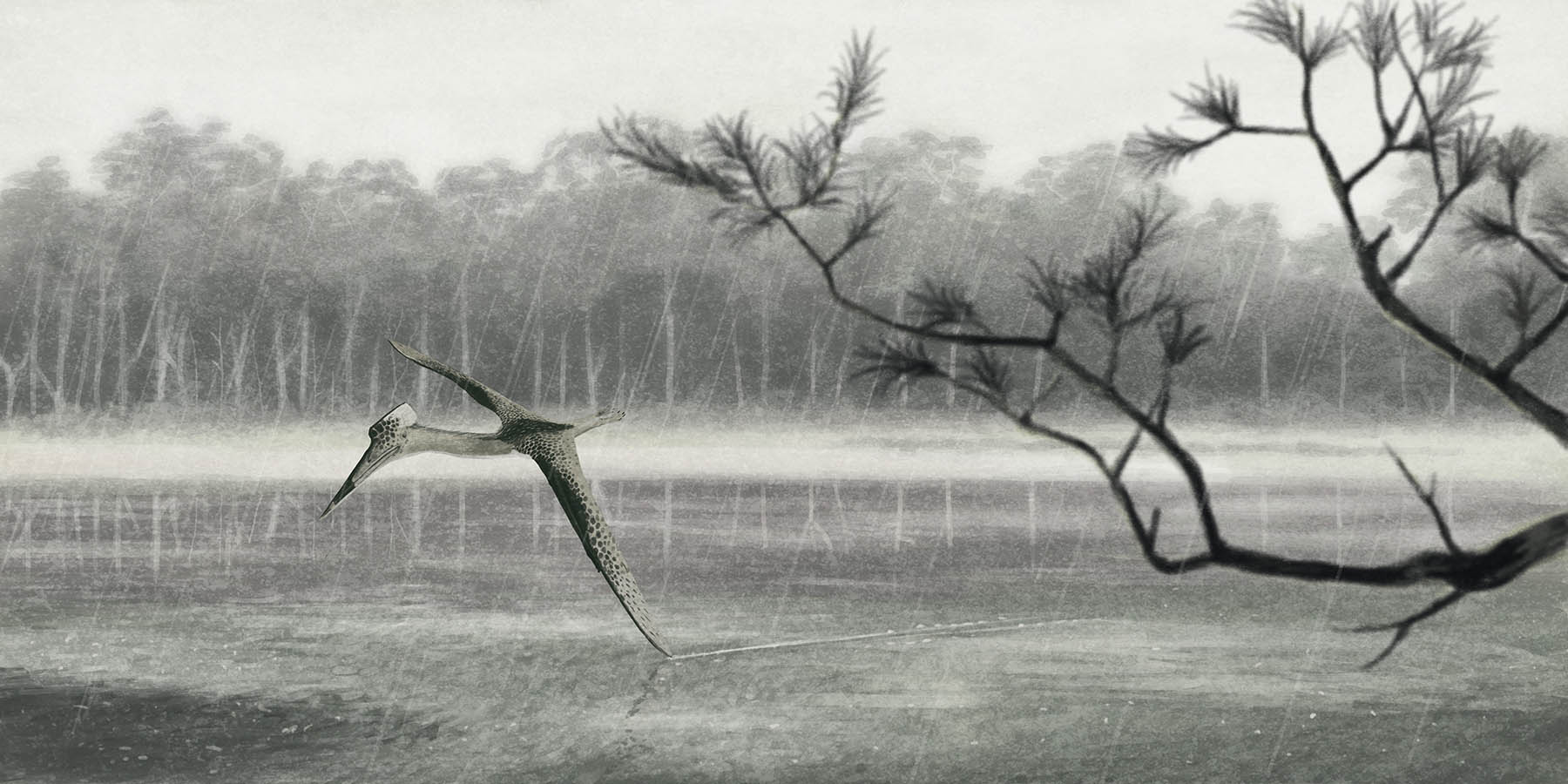 The smaller Quetzalcoatlus lawsoni glides over water, tipping one wing into the river