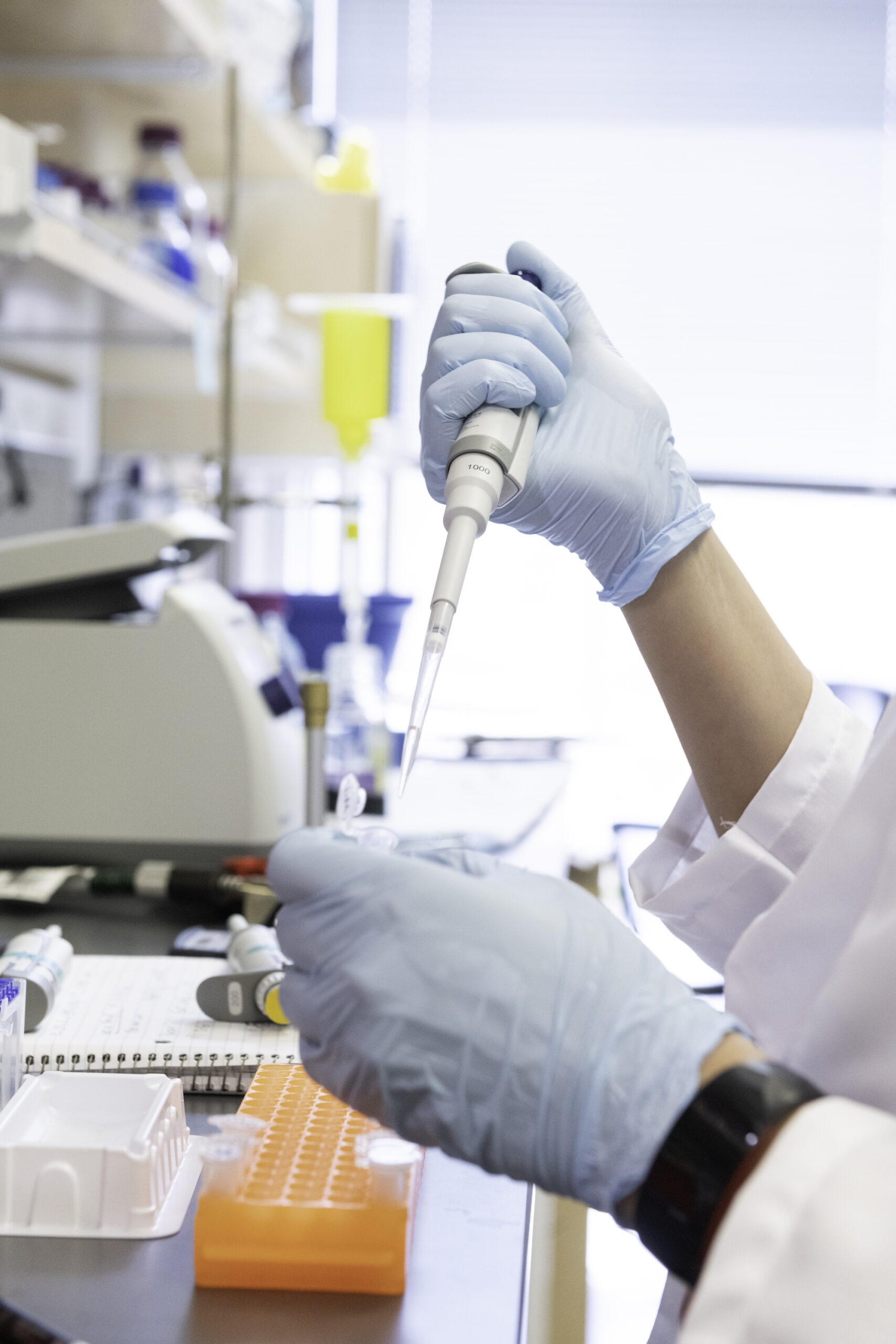 Jason S. McLellan, associate professor of molecular biosciences, and other lab members work in the lab Monday Feb. 17, 2020 at The University of Texas at Austin. Lab members shown: Akaash Mishra, Graduate Student Daniel Wrapp, Graduate Student Nianshuang Wang, Research Associate