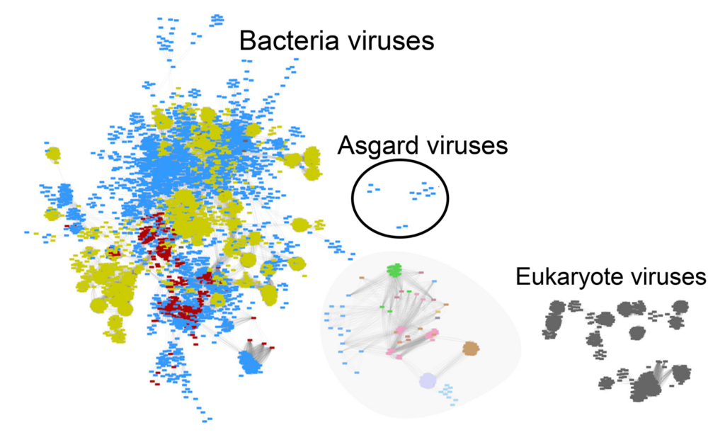 Chart showing how related different viruses are