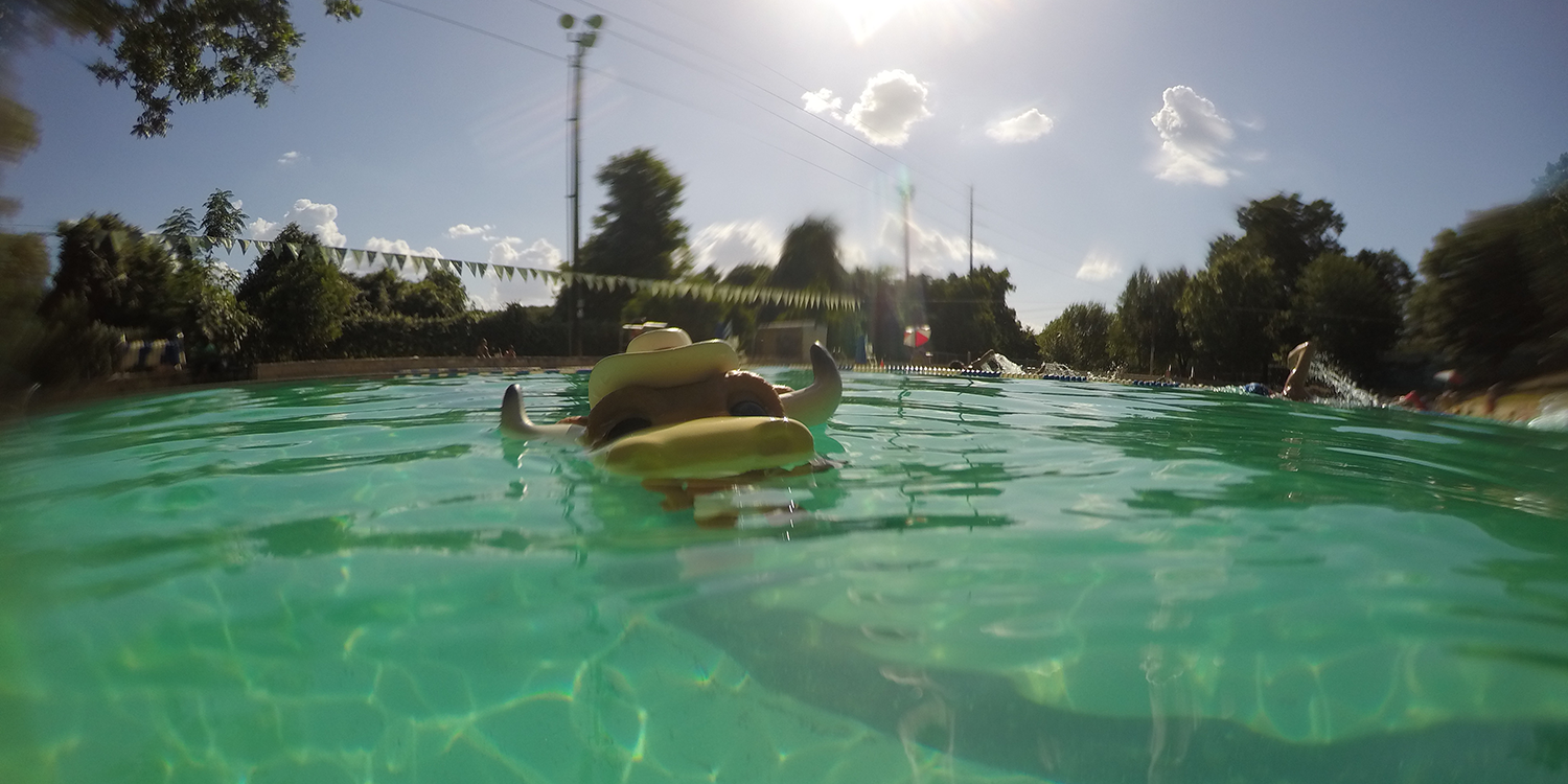A figurine of Hook Em bobs in a swimming pool with only its head above the water. 