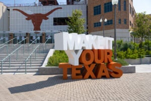 Make-It-Your-Texas-sculpture-2022-132985