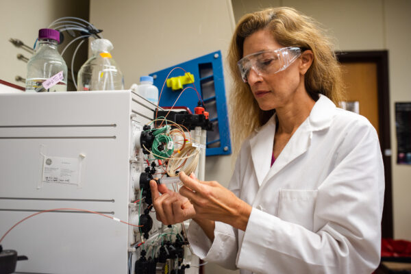 Jennifer Maynard, professor in the McKetta Department of Chemical Engineering at UT Austin