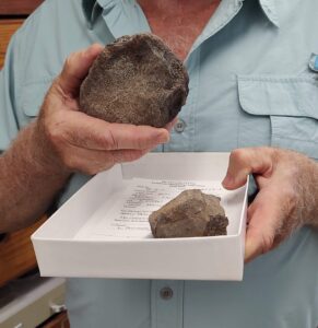 Steve May, a research associate at the Jackson School of Geosciences,holds a fossil from a plesiosaur, an extinct marine reptile. The fossil is among the first Jurassic vertebrate fossils discovered and described in Texas. Credit: Jackson School of Geosciences/ The University of Texas at Austin.