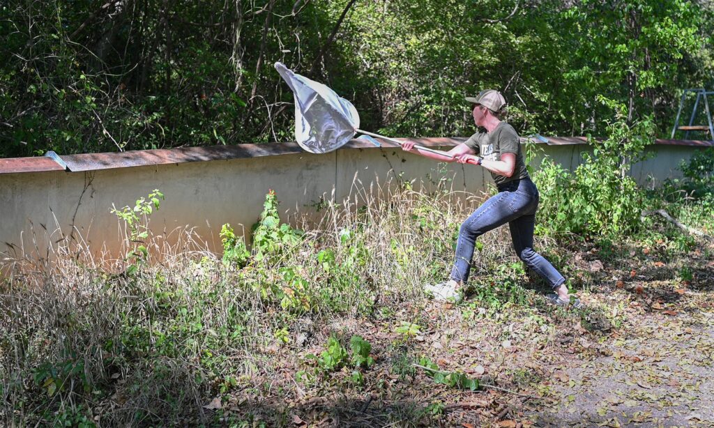 A researcher in a hat holds a large net to capture an insect on a wall in a woods-like arae