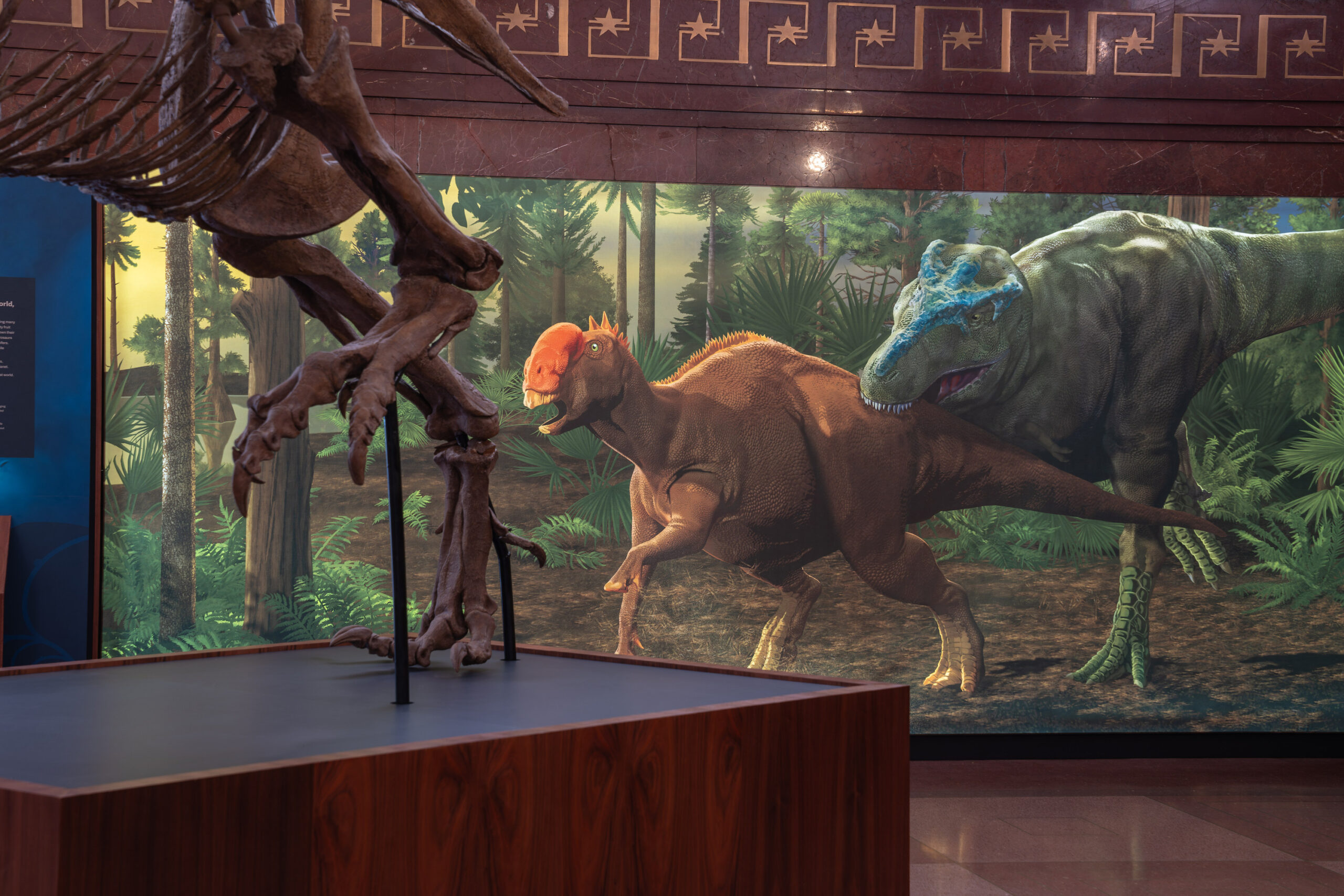 A mural shows a green tyrannosaur attacking a smaller orange one.